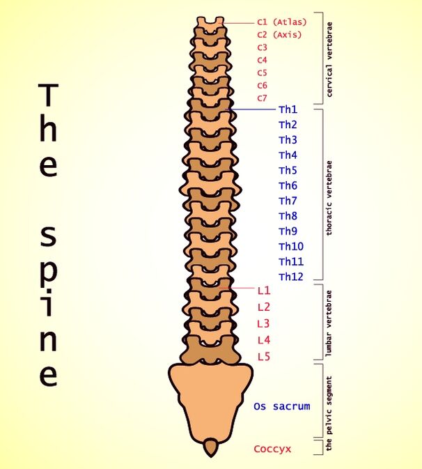 Osteochondroza lędźwiowa